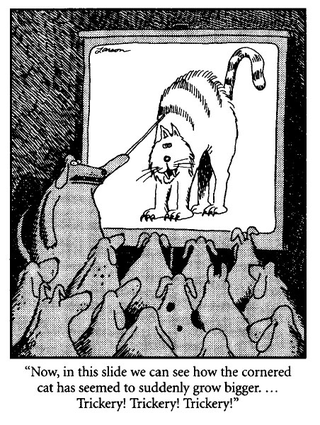 Illustration for article titled Final Farside Dose of The Day